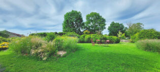 Evolution d'un jardin horticole en un jardin naturaliste