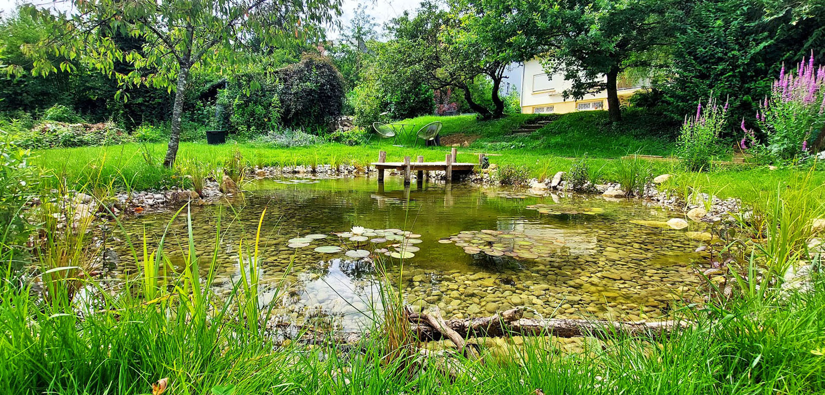 jardin aquatique