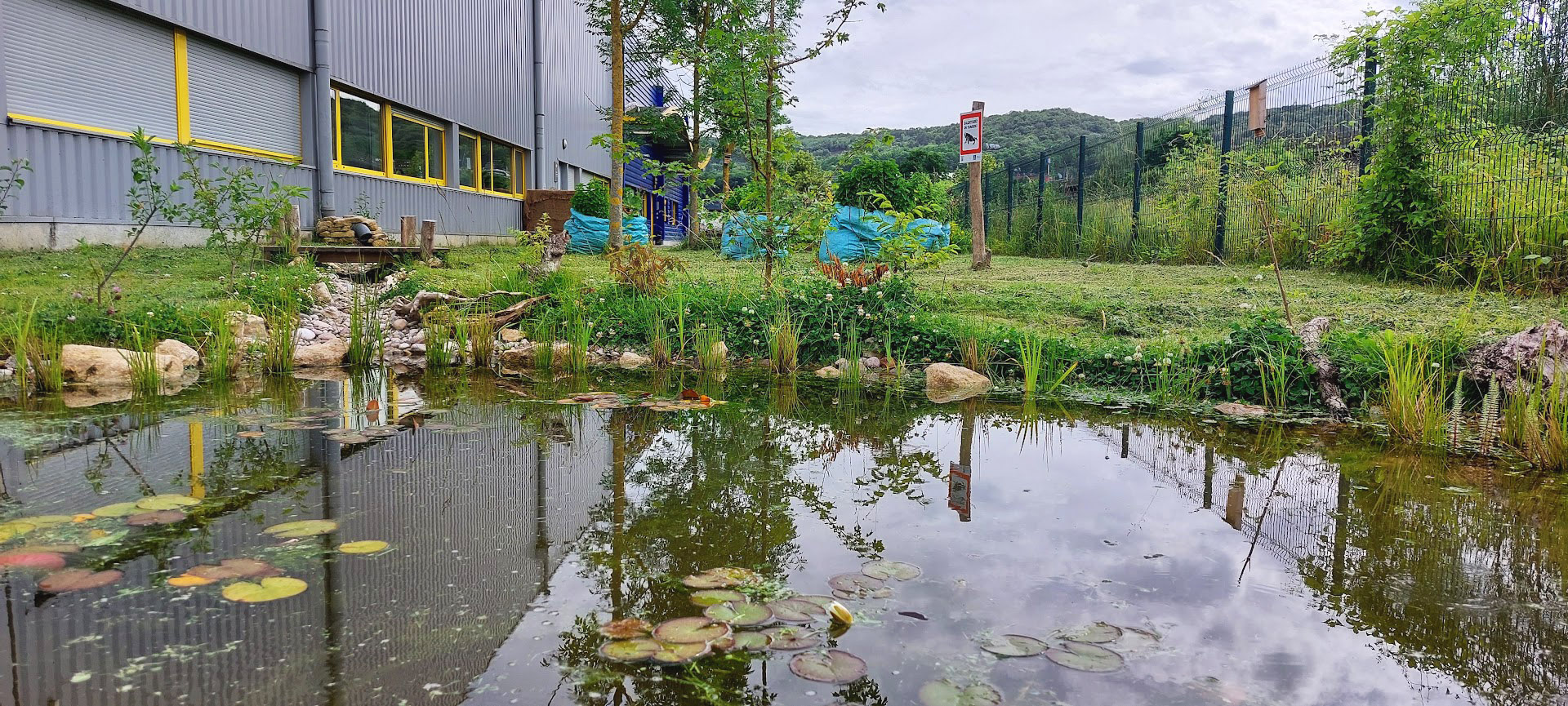 récupération des eaux de pluie d'un bâtiment industriel