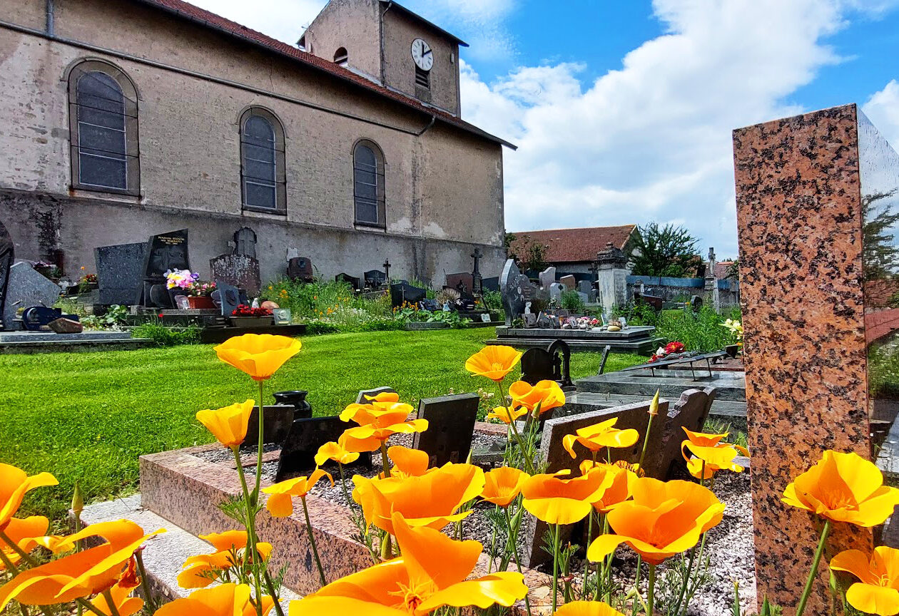 cimetière nature