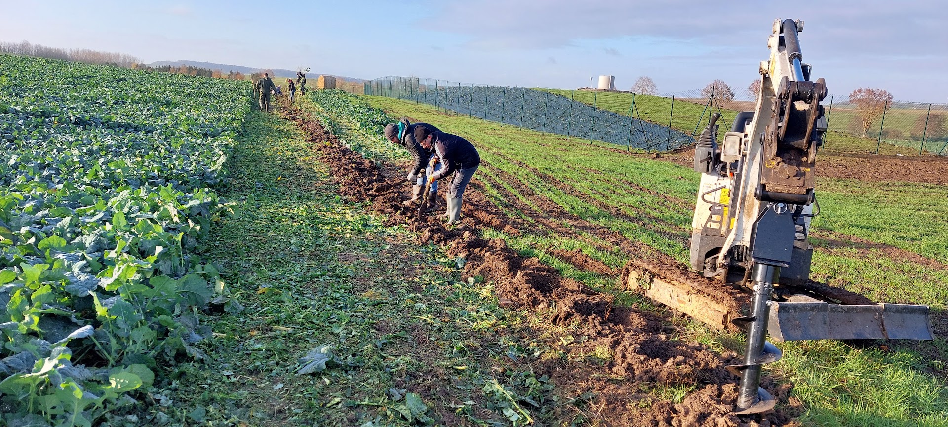 20231125_092834 Plantation de haies bocagères