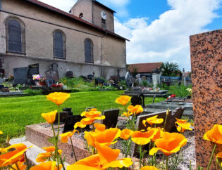 cimetière nature