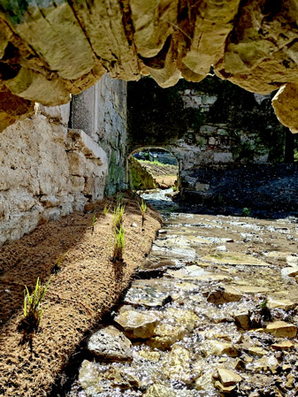 Paysagiste par Nature