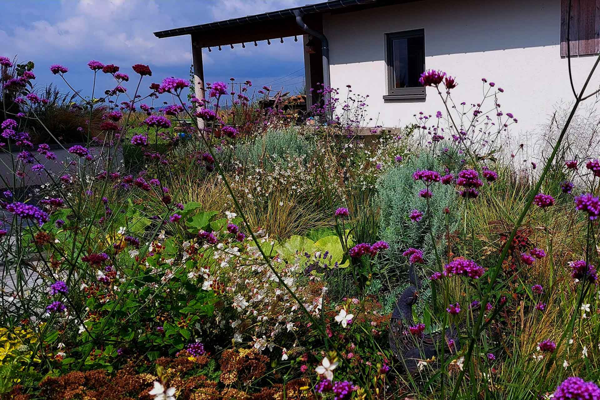 désimperméabilisation des sols Nancy