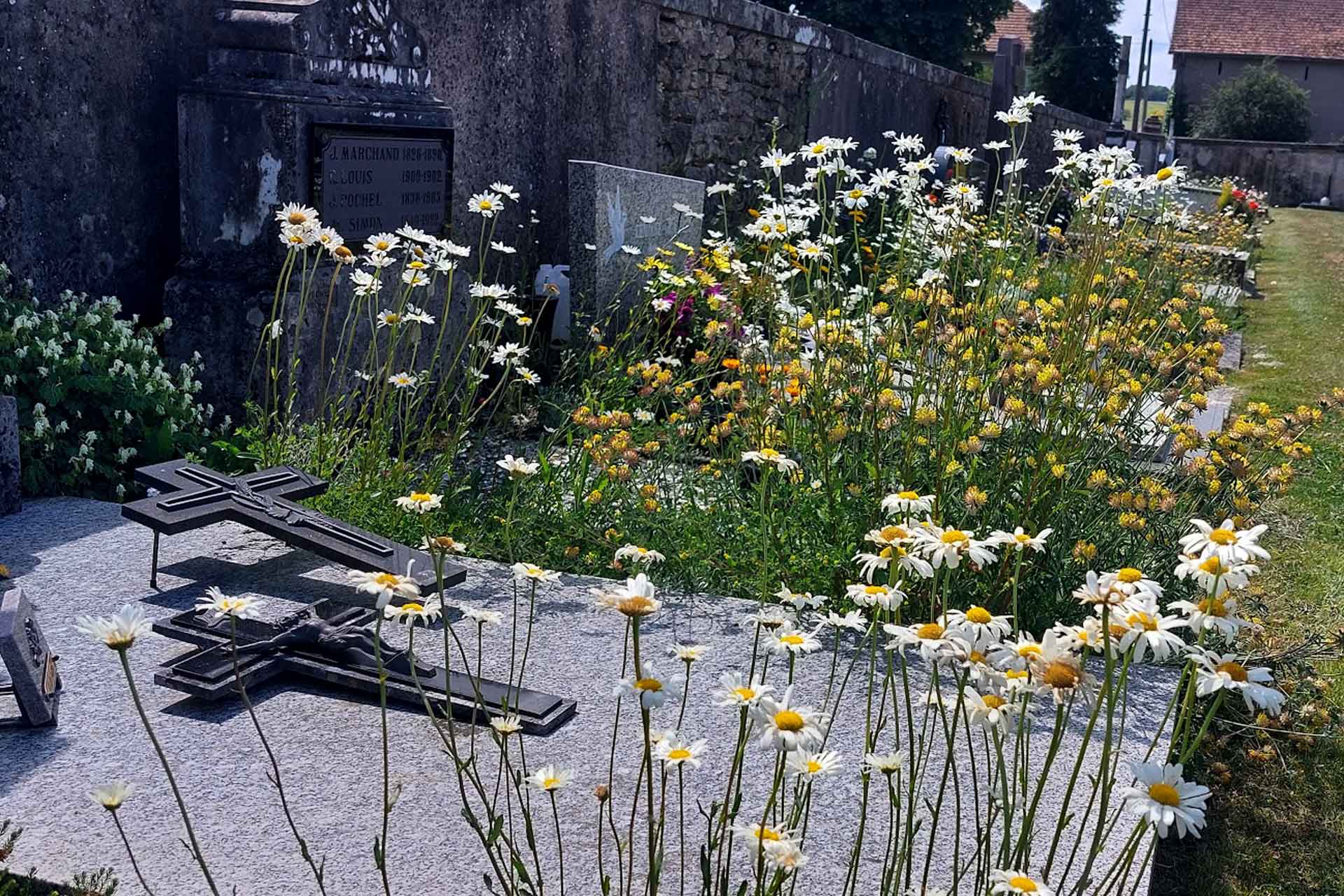 Végétalisation Nancy