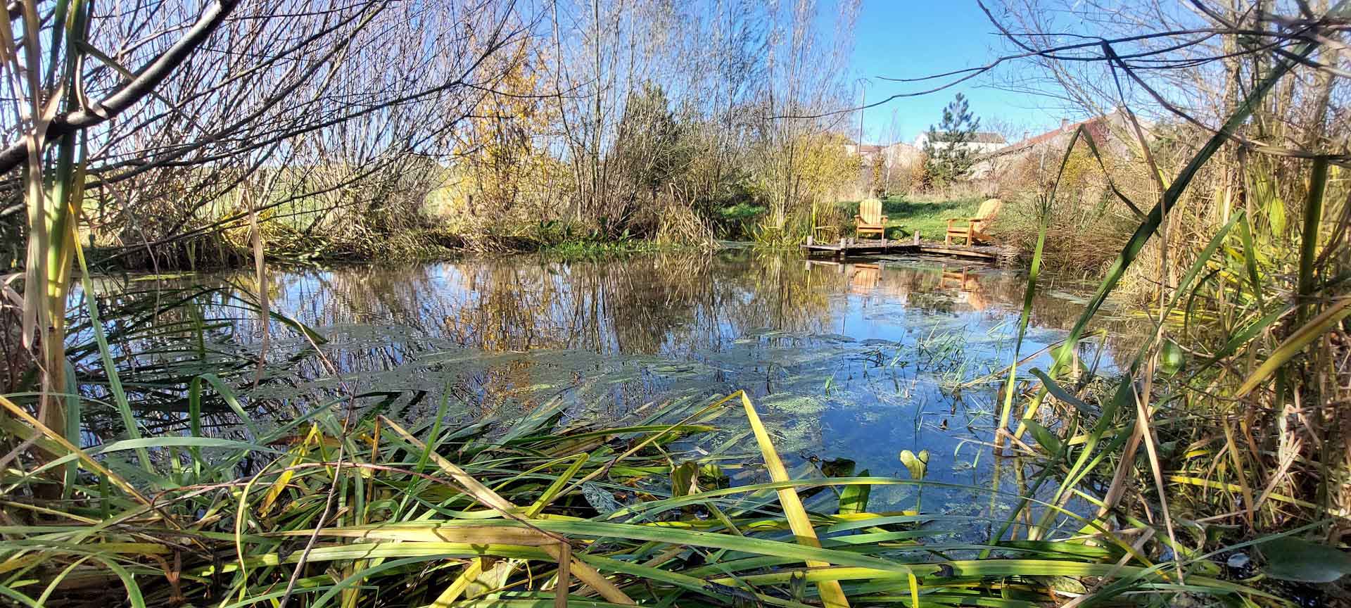 Bassin naturel et mare écologique