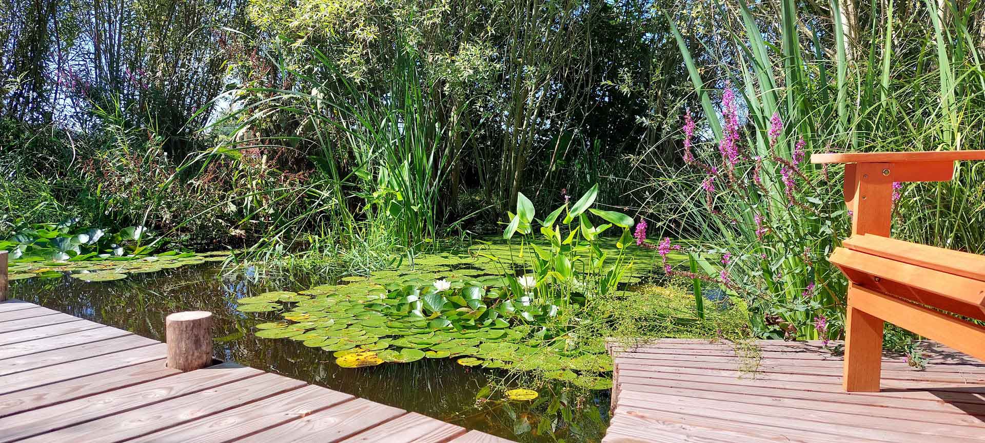 Bassin naturel et mare écologique