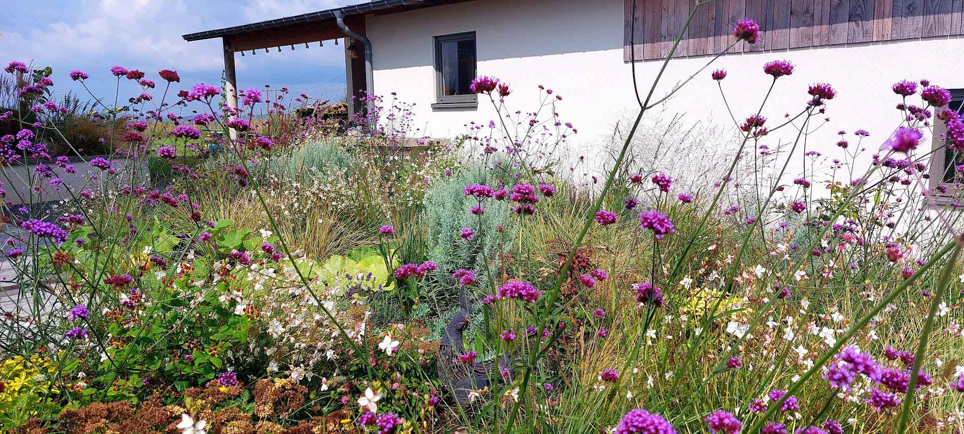 Aménagement d’un grand jardin naturel