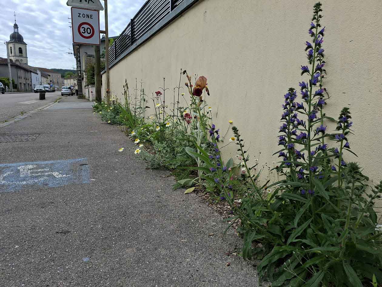 Désimperméabilisattion et renaturation d'une commune