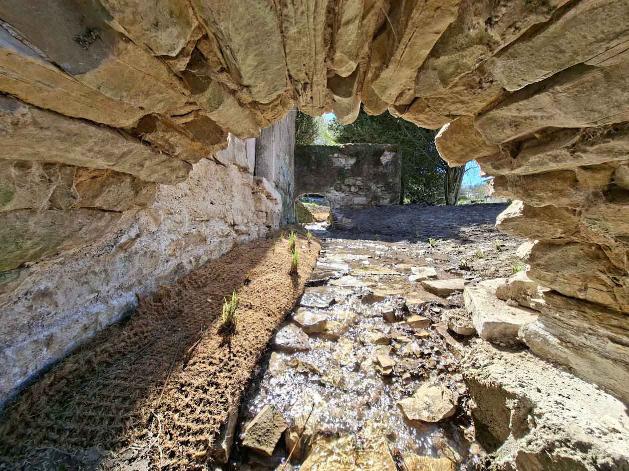 Renaturation ruisseau Meurthe-et-Moselle