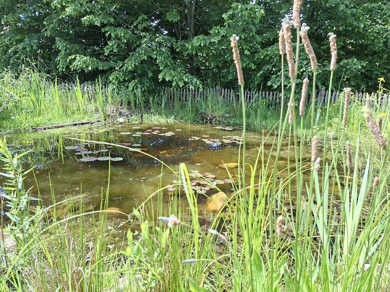 Création d’une mare et aménagements paysagers communaux