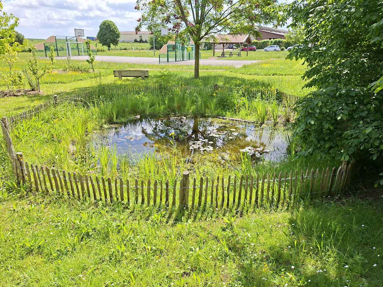 Création d’une mare et aménagements paysagers communaux