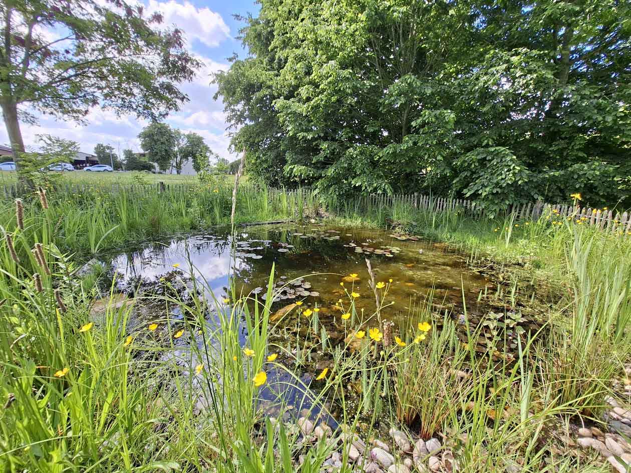 Création d’une mare et aménagements paysagers communaux