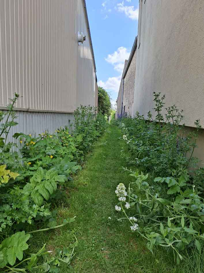 Création d’une mare et aménagements paysagers communaux