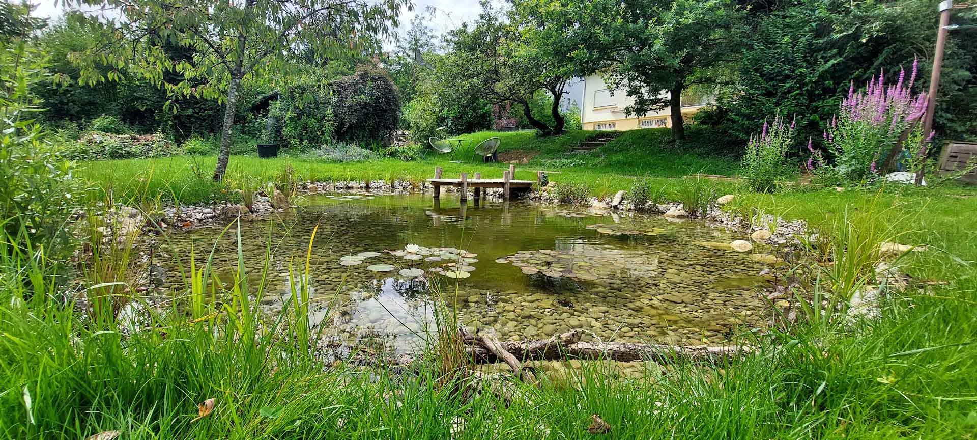 Mare naturelle avec lagunage