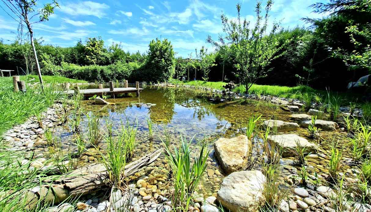 Aménagement d’une mare naturelle