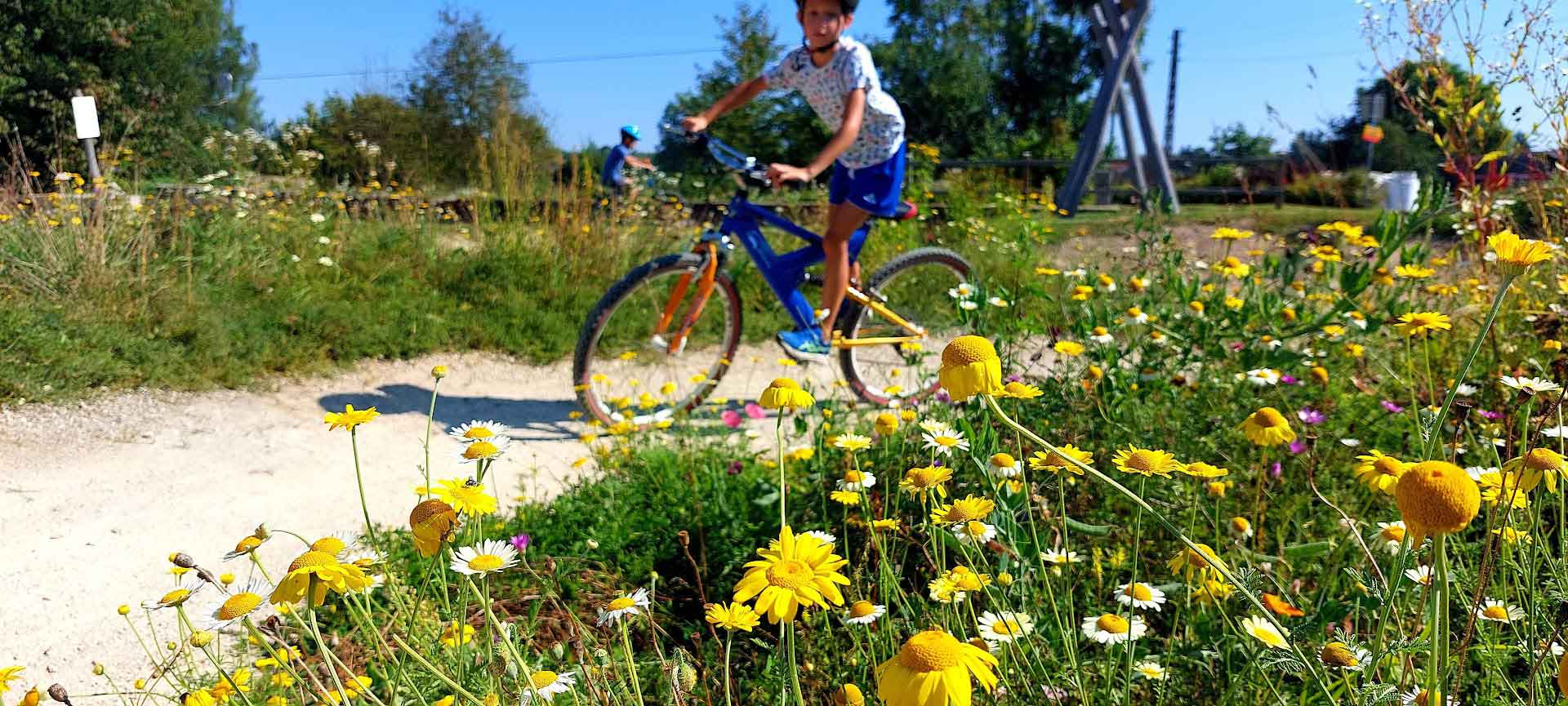 Pumptrack végétalisé et perméable
