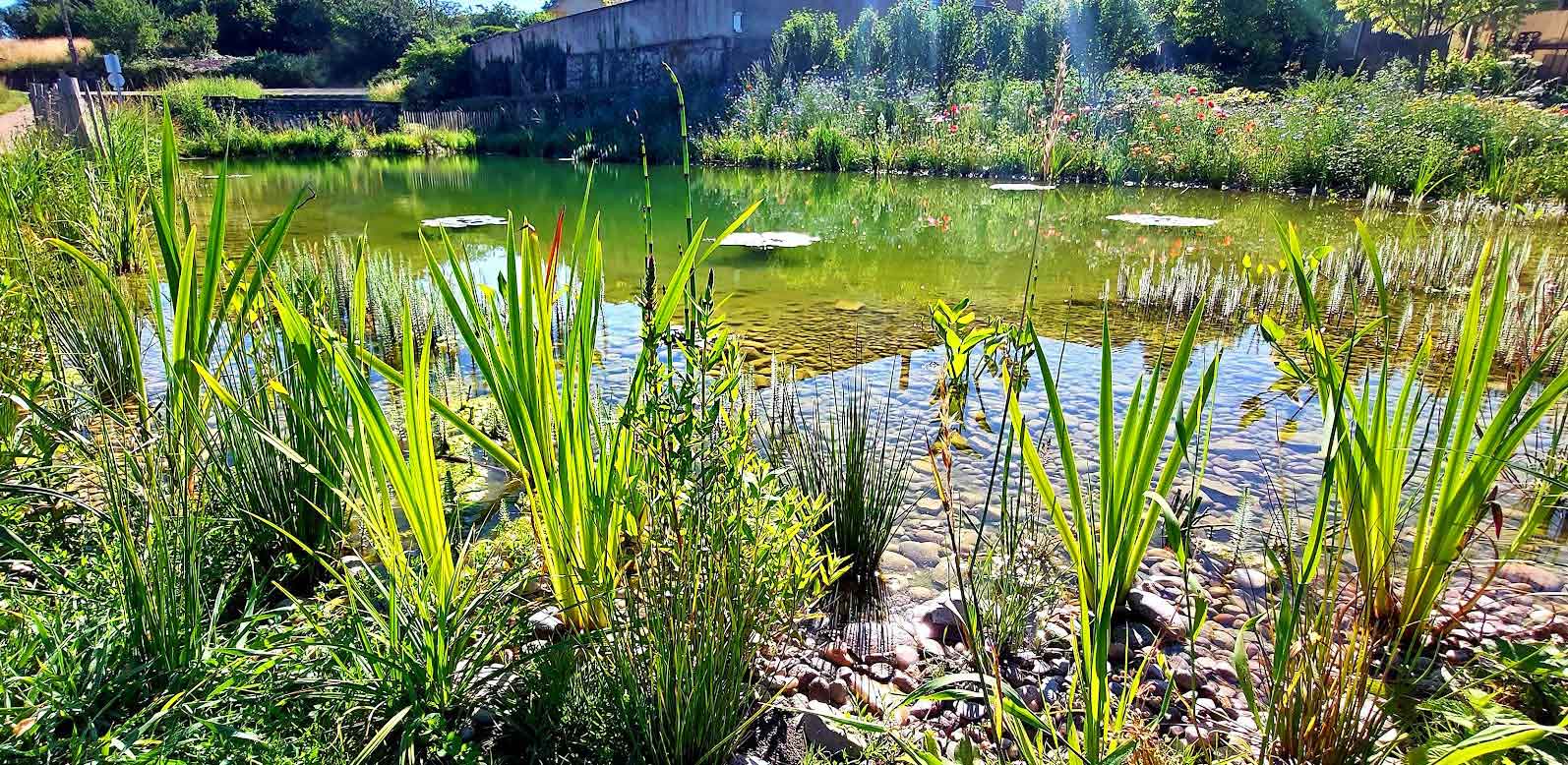 Réserve incendie naturelle