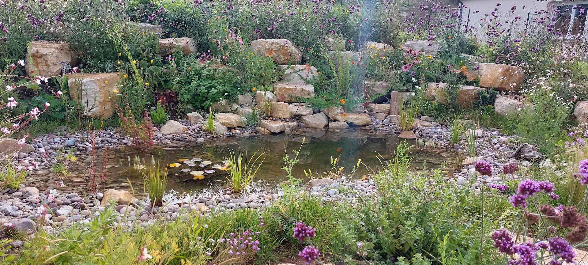 Jardin naturel avec mares