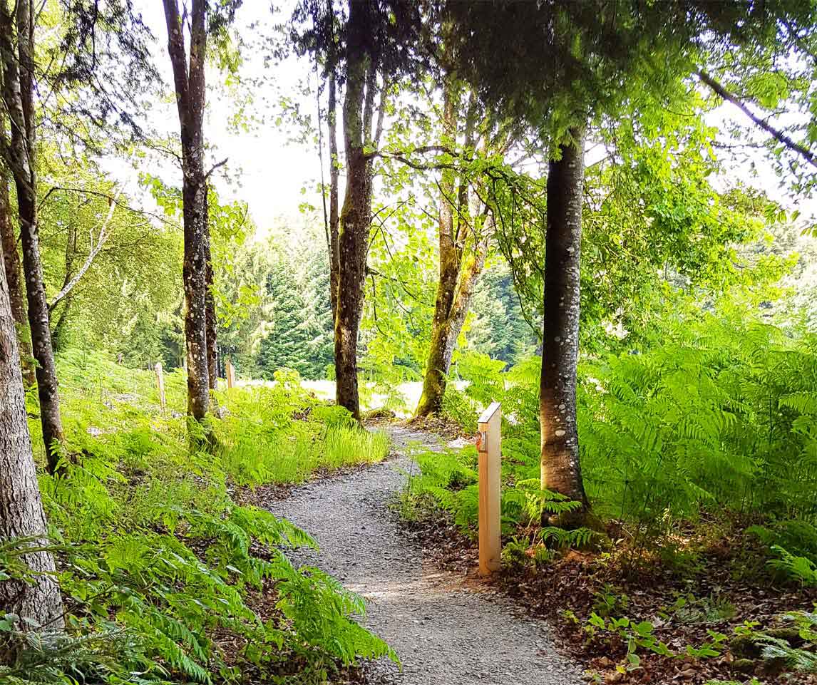 Sentier biodiversité Vosges