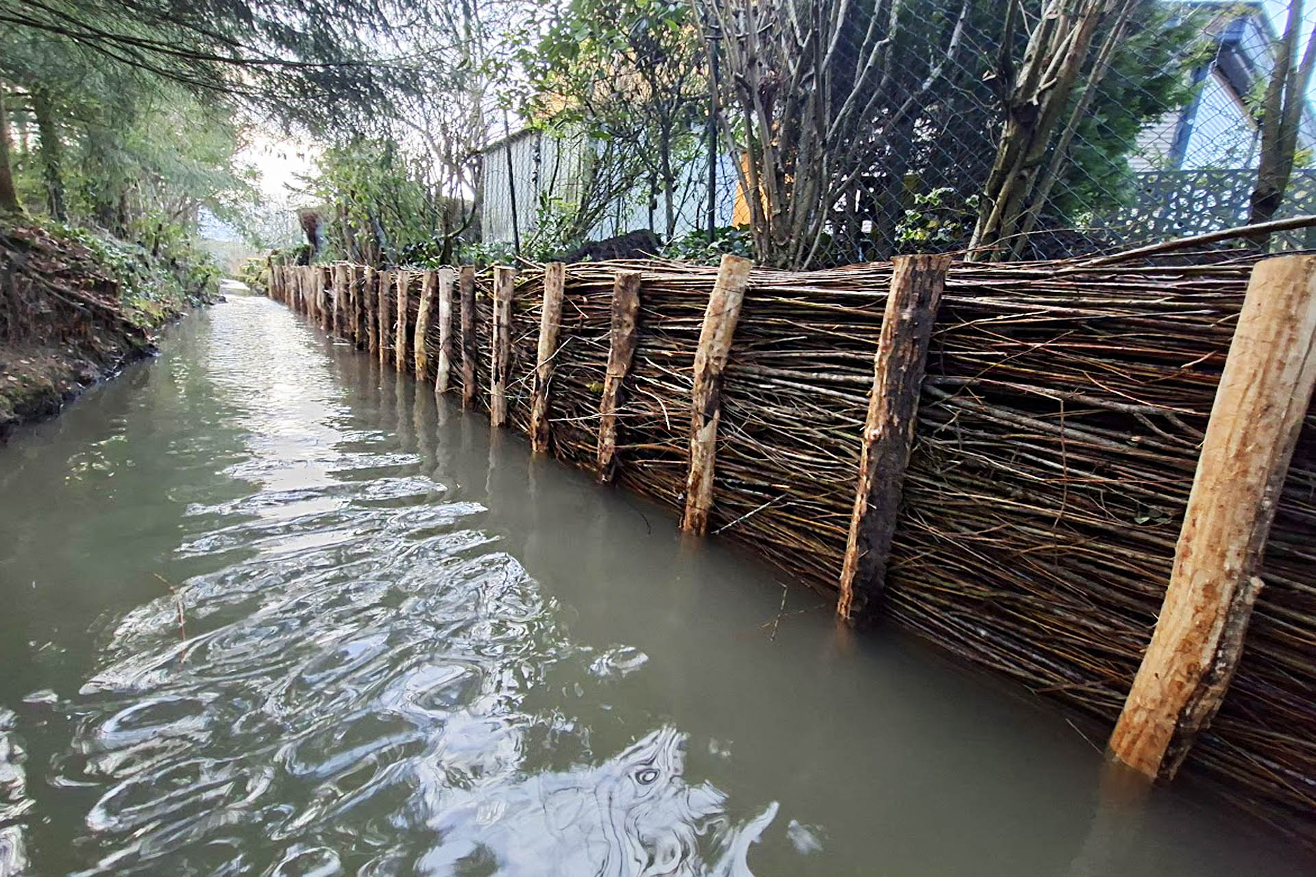 Restauration de berge - génie écologique